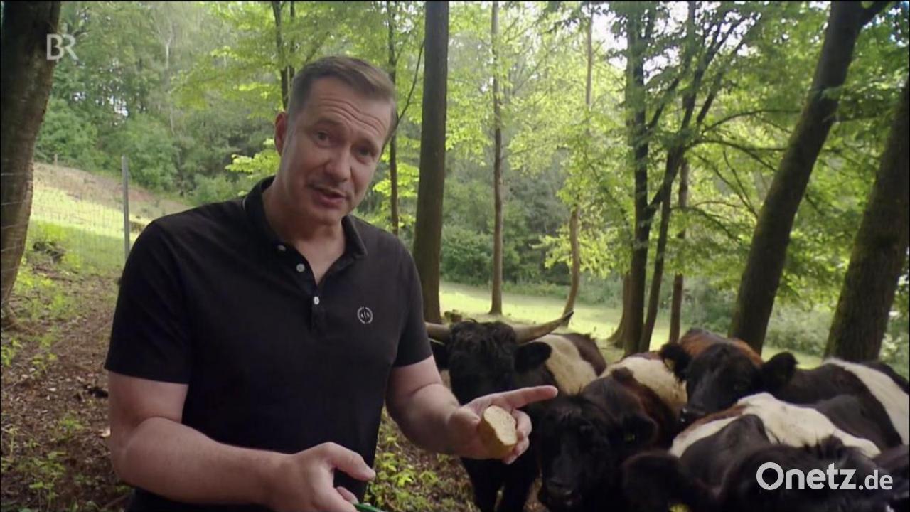 Sternekoch Alexander Herrmann beim Greifenwirt