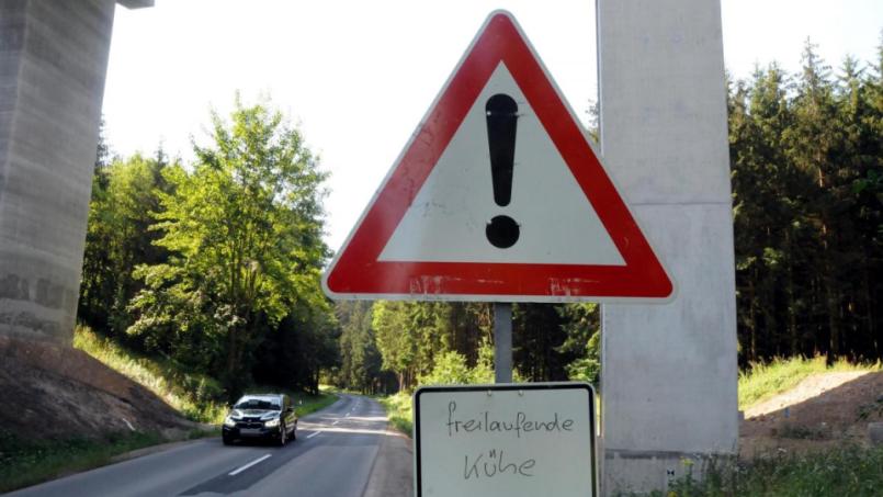 Download Hoffnung ist der erste schritt auf der strasse der enttaeuschung Free Hoffnung Ist Der Erste Schritt Auf Der Strasse Der Enttaeuschung